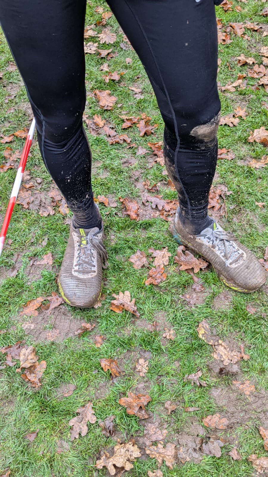 d8316084 62bc 4ab4 8b10 c5a8f19615ef